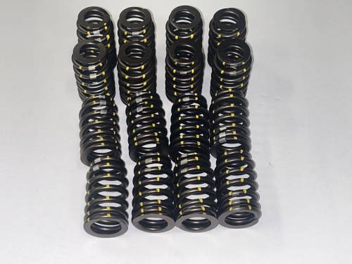 Chevrolet Performance Parts - SP604-EC Economy Valve Spring Kit