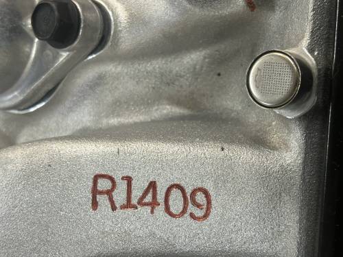 Race-1 - R1409