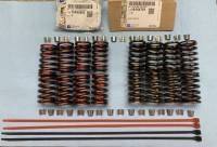 602 Hand-picked and Tested Valve Spring Kit