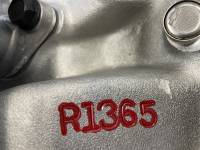 Race-1 - R1365 - Image 13