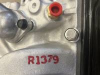Documented Engine Seals - Engine Seals - Race-1 - R1379