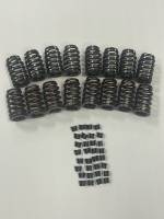 SP604-20PLUS "Hand-picked' 604 Valve Spring Kit With Keepers