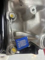 Race-1 - R1395 - Image 4