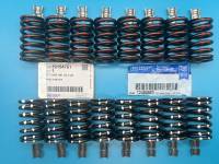 SP602-6100 Hand-picked and Tested Valve Spring Kit
